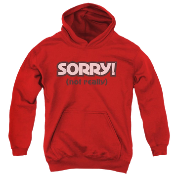 Red youth hoodie for ages 8 to 12 with Game of Sorry Not Really graphic