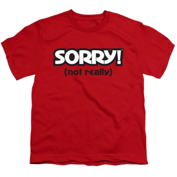 Game of Sorry Not Really - Youth T-Shirt Youth T-Shirt (Ages 8-12) Sorry   