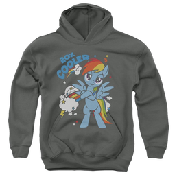 My Little Pony Friendship Is Magic 20 Percent Cooler - Youth Hoodie Youth Hoodie (Ages 8-12) My Little Pony   