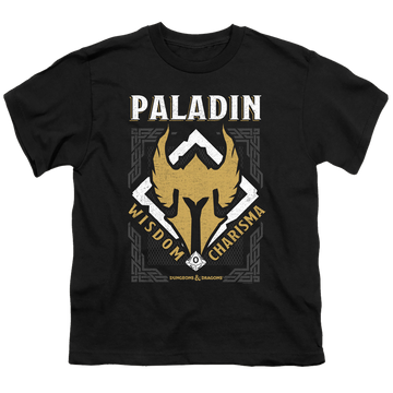 Black youth t-shirt for ages 8 to 12 with Dungeons & Dragons Paladin graphic