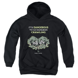 Dungeons & Dragons Dangerous To Go Alone - Youth Hoodie Youth Hoodie (Ages 8-12) Dungeons & Dragons   