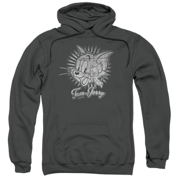 Tom and Jerry Classic Pals Pullover Hoodie Pullover Hoodie Tom and Jerry   