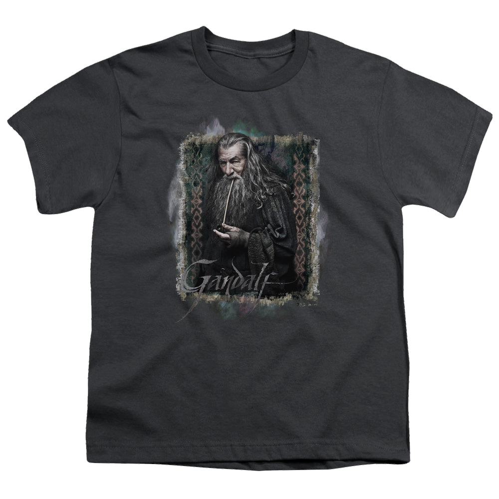 Hobbit Movie Trilogy, The Gandalf - Youth T-Shirt Youth T-Shirt (Ages 8-12) The Hobbit   