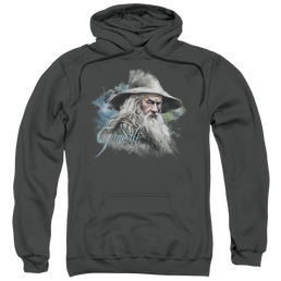 Hobbit Movie Trilogy, The Gandalf The Grey - Pullover Hoodie Pullover Hoodie The Hobbit   