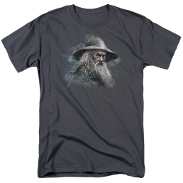 Hobbit Movie Trilogy, The Gandalf The Grey - Men's Regular Fit T-Shirt Men's Regular Fit T-Shirt The Hobbit   