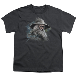 Hobbit Movie Trilogy, The Gandalf The Grey - Youth T-Shirt Youth T-Shirt (Ages 8-12) The Hobbit   