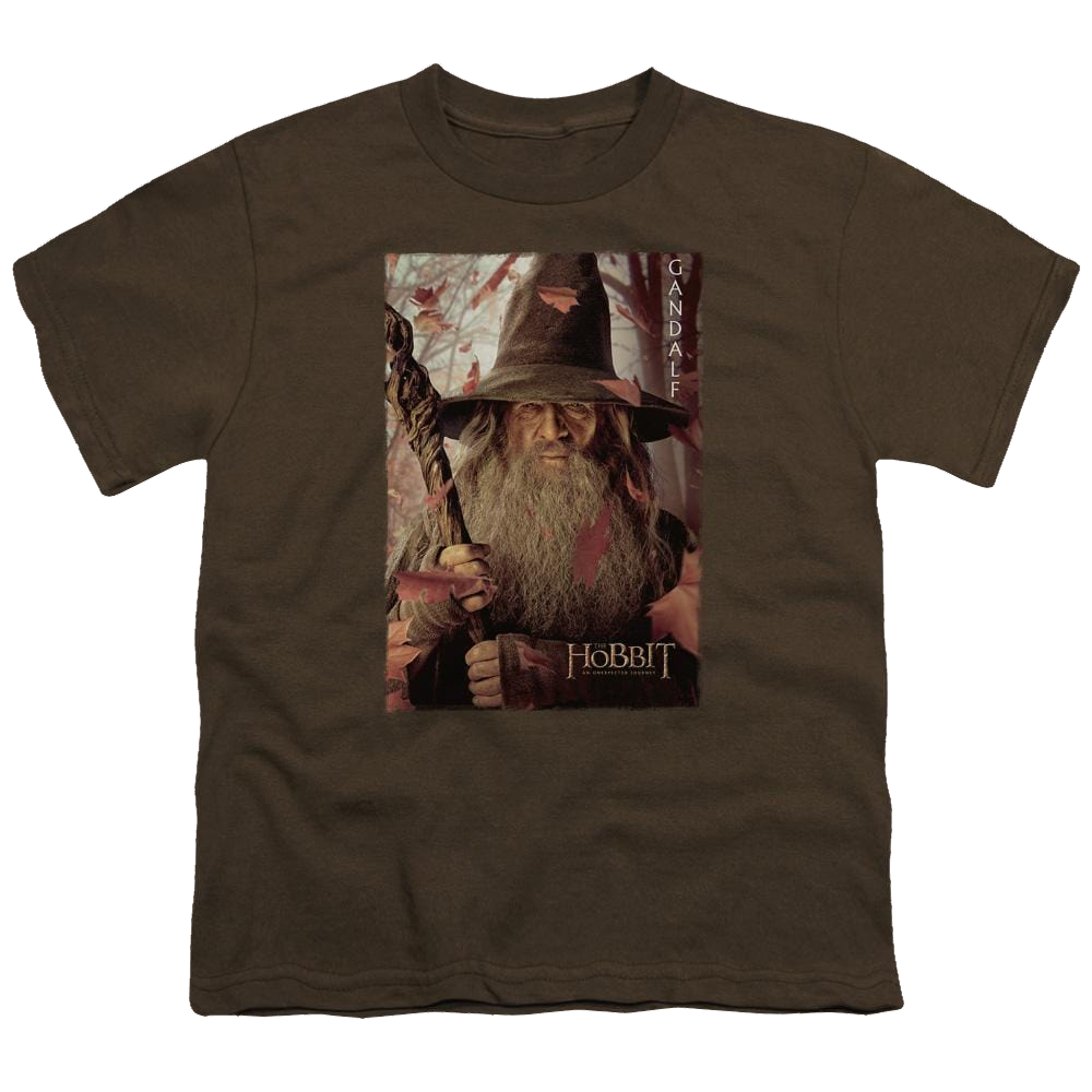 Hobbit Movie Trilogy, The Gandalf Poster - Youth T-Shirt Youth T-Shirt (Ages 8-12) The Hobbit   