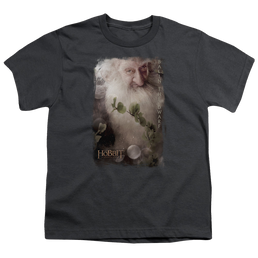 Hobbit Movie Trilogy, The Balin - Youth T-Shirt Youth T-Shirt (Ages 8-12) The Hobbit   