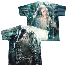 Hobbit Movie Trilogy, The Wizard (Front/Back) - Youth All-Over Print T-Shirt Youth All-Over Print T-Shirt (Ages 8-12) The Hobbit   