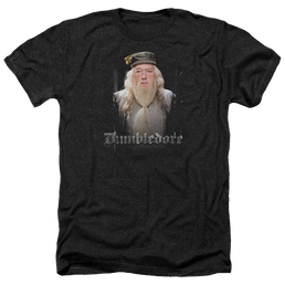 Harry Potter Dumble Doors Men's Heather T-Shirt Men's Heather T-Shirt Harry Potter   