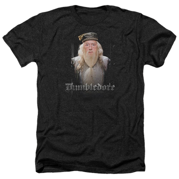 Harry Potter Dumble Doors Men's Heather T-Shirt Men's Heather T-Shirt Harry Potter   