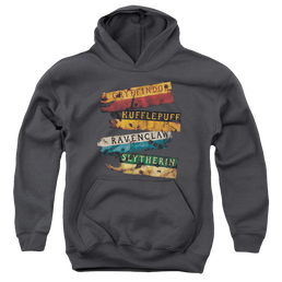 Harry Potter Burnt Banners - Youth Hoodie Youth Hoodie (Ages 8-12) Harry Potter   
