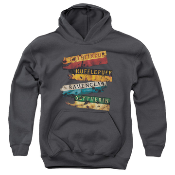 Harry Potter Burnt Banners - Youth Hoodie Youth Hoodie (Ages 8-12) Harry Potter   