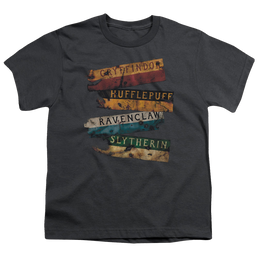 Harry Potter Burnt Banners - Youth T-Shirt Youth T-Shirt (Ages 8-12) Harry Potter   