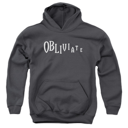 Harry Potter Obliviate - Youth Hoodie Youth Hoodie (Ages 8-12) Harry Potter   