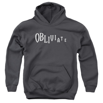 Harry Potter Obliviate - Youth Hoodie Youth Hoodie (Ages 8-12) Harry Potter   