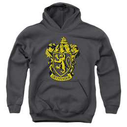 Harry Potter Gryffindor Crest - Youth Hoodie Youth Hoodie (Ages 8-12) Harry Potter   