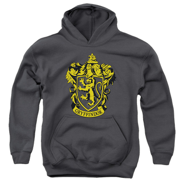 Harry Potter Gryffindor Crest - Youth Hoodie Youth Hoodie (Ages 8-12) Harry Potter   