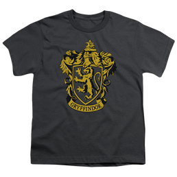 Harry Potter Gryffindor Crest - Youth T-Shirt Youth T-Shirt (Ages 8-12) Harry Potter   
