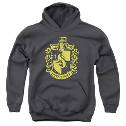 Harry Potter Hufflepuff Crest - Youth Hoodie Youth Hoodie (Ages 8-12) Harry Potter   