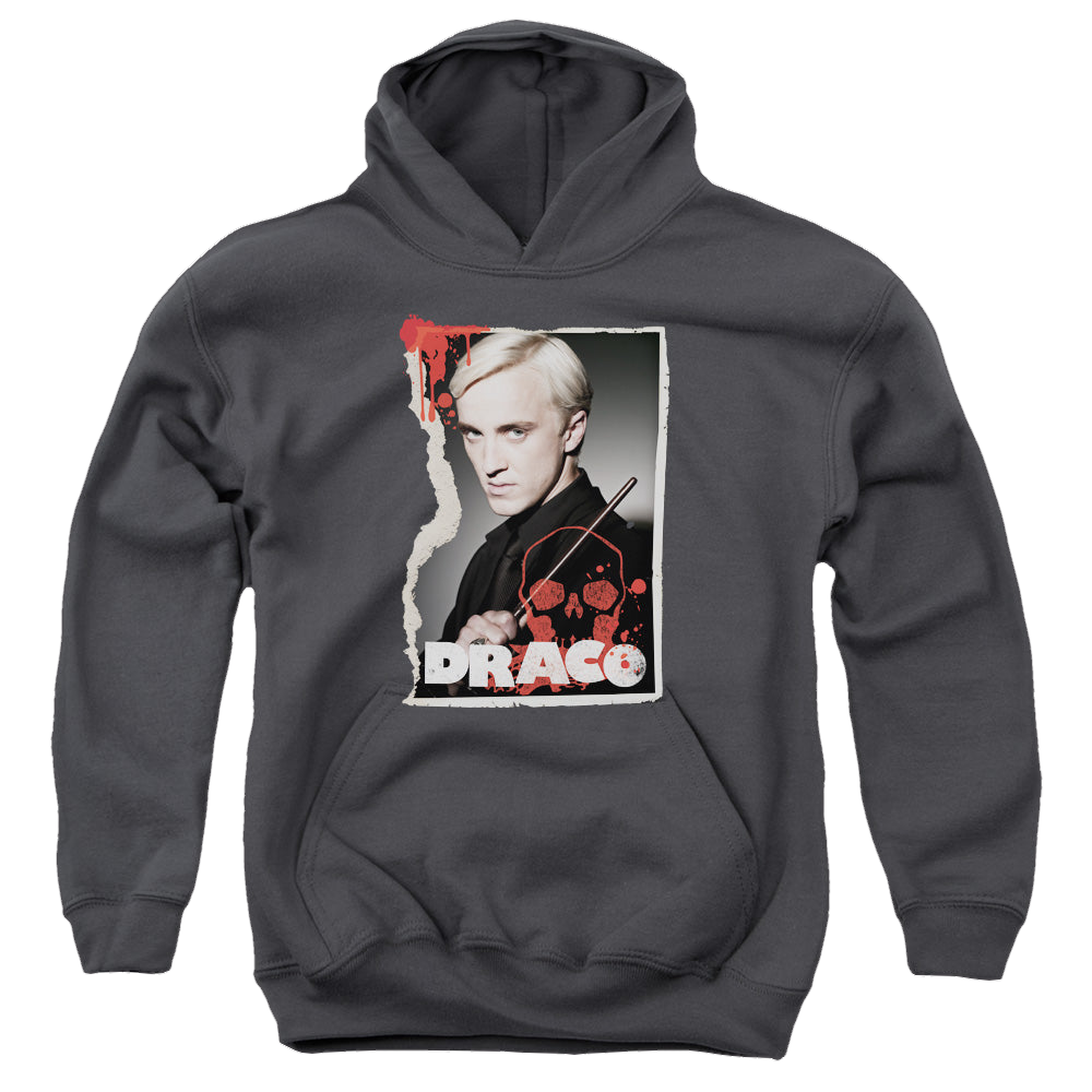 Harry Potter Draco Frame - Youth Hoodie Youth Hoodie (Ages 8-12) Harry Potter   