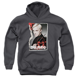 Harry Potter Draco Frame - Youth Hoodie Youth Hoodie (Ages 8-12) Harry Potter   