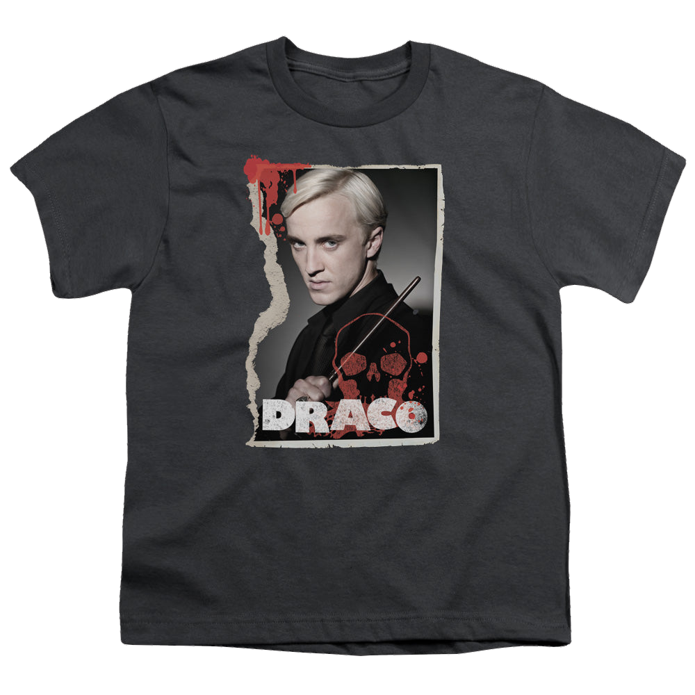 Harry Potter Draco Frame - Youth T-Shirt Youth T-Shirt (Ages 8-12) Harry Potter   