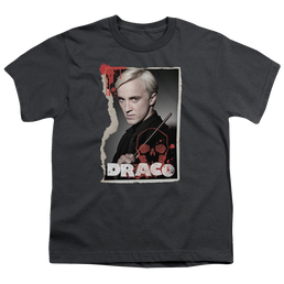 Harry Potter Draco Frame - Youth T-Shirt Youth T-Shirt (Ages 8-12) Harry Potter   