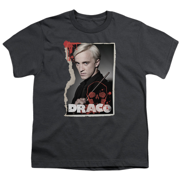 Harry Potter Draco Frame - Youth T-Shirt Youth T-Shirt (Ages 8-12) Harry Potter   