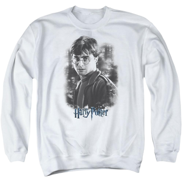 Harry Potter Harry In The Woods Men's Crewneck Sweatshirt Men's Crewneck Sweatshirt Harry Potter   