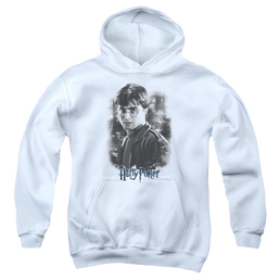 Harry Potter Harry In The Woods - Youth Hoodie Youth Hoodie (Ages 8-12) Harry Potter   