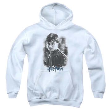 Harry Potter Harry In The Woods - Youth Hoodie Youth Hoodie (Ages 8-12) Harry Potter   