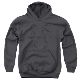 Harry Potter Literary Crests - Youth Hoodie Youth Hoodie (Ages 8-12) Harry Potter   