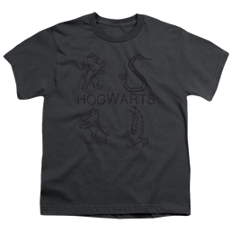 Harry Potter Literary Crests - Youth T-Shirt Youth T-Shirt (Ages 8-12) Harry Potter   