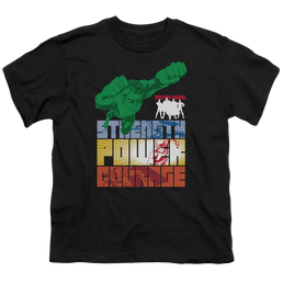 Justice League Heroic Qualities - Youth T-Shirt Youth T-Shirt (Ages 8-12) Justice League   