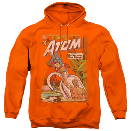 More Dc Characters Showcase #34 Cover - Pullover Hoodie Pullover Hoodie DC Comics   