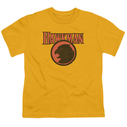 Hawkman Rough Hawk - Youth T-Shirt Youth T-Shirt (Ages 8-12) Hawkman   