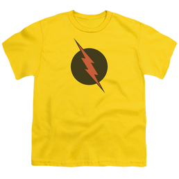Flash, The Reverse Flash - Youth T-Shirt Youth T-Shirt (Ages 8-12) The Flash   