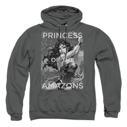 Justice League Princess Of The Amazons Pullover Hoodie Pullover Hoodie Wonder Woman   