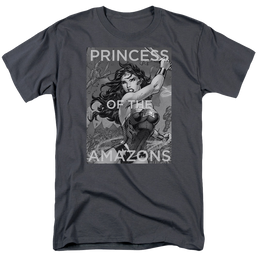 Justice League Princess Of The Amazons Men's Regular Fit T-Shirt Men's Regular Fit T-Shirt Wonder Woman   