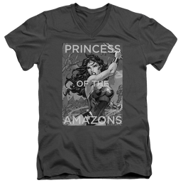 Justice League Princess Of The Amazons Men's V-Neck T-Shirt Men's V-Neck T-Shirt Wonder Woman   