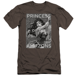 Wonder Woman Princess Of The Amazons - Men's Premium Slim Fit T-Shirt Men's Premium Slim Fit T-Shirt Wonder Woman   