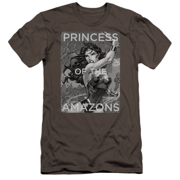 Wonder Woman Princess Of The Amazons - Men's Premium Slim Fit T-Shirt Men's Premium Slim Fit T-Shirt Wonder Woman   