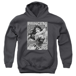 Wonder Woman Princess Of The Amazons - Youth Hoodie Youth Hoodie (Ages 8-12) Wonder Woman   