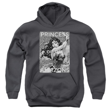 Wonder Woman Princess Of The Amazons - Youth Hoodie Youth Hoodie (Ages 8-12) Wonder Woman   