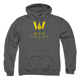 Justice League Wayne Aerospace Pullover Hoodie Pullover Hoodie Justice League   
