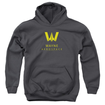 Charcoal youth hoodie for ages 8 to 12 with Justice League Movie Wayne Aerospace graphic