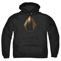 Justice League Aquaman Logo Pullover Hoodie Pullover Hoodie Justice League   