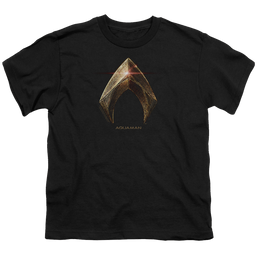 Justice League Movie Aquaman Logo - Youth T-Shirt Youth T-Shirt (Ages 8-12) Justice League   