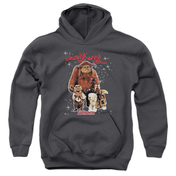 Labyrinth Should You Need Us Youth Hoodie (Ages 8-12) Youth Hoodie (Ages 8-12) Labyrinth   